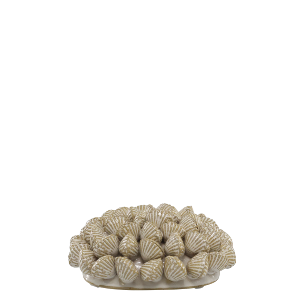 Koral m. muslingeskaller til deko, H6/L14,5/B14,5 cm creme