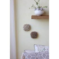 Koral m. muslingeskaller til deko, H6/L14,5/B14,5 cm creme