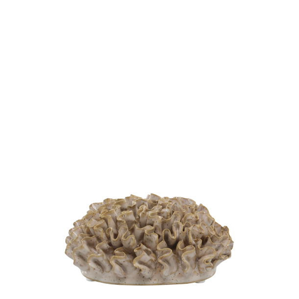  Koral til deko, H7/L14,5/B14,5 cm latte